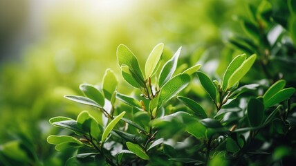 A fresh spring green garden foliage background Generative AI