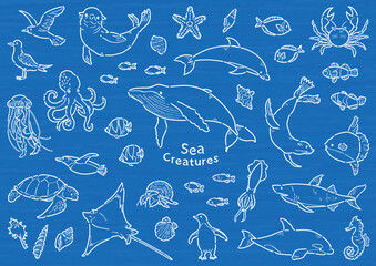 海の生き物　イラストセット　線画 © Keiko Kusuhara