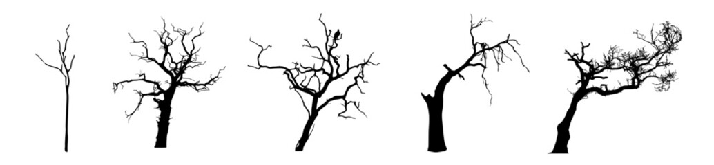 Silhouette Creepy Bare Tree