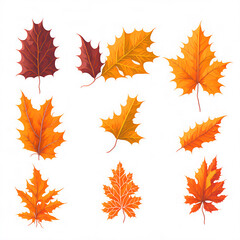 Maple leaves brown leaves, yellow leaves, red leaves wallpaper