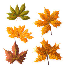 Maple leaves brown leaves, yellow leaves, red leaves wallpaper