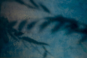 Leaves shadow. Natural background. Twig shape. Foliage branch silhouette on blue uneven texture wall abstract overlay with free space. © golubovy