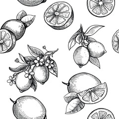 Vector hand drawn lime and lemon seamless pattern. Citrus fruit branch, blossom engraved style background. - 607312436
