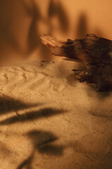 Nature showcase. Sand display. Desert decoration. Brown dry tree wood bark leaf foliage shadow on sunny orange abstract background with copy space.