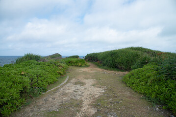 海の見える緑に囲まれた広場