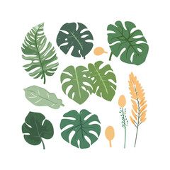Fototapeta na wymiar Tropical Monstera green leaves with flower cartoon style vector illustration isolated.