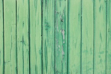 Fototapeta premium green damaged wooden wall background