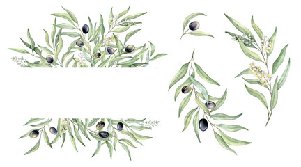 Set of green leaf branches. Restrangle frame with place for text. Olive berries, greenery foliage, Botanical design element. Hand drawn watercolor illustration for cosmetic branding, greeting card © Daryartsy