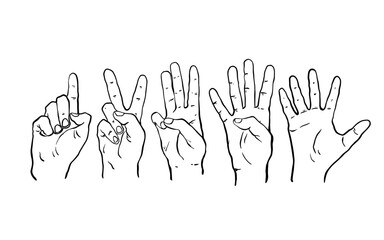 hands set collection show gesture fingers ink two tree four five hand drawn vector illustration eps 10