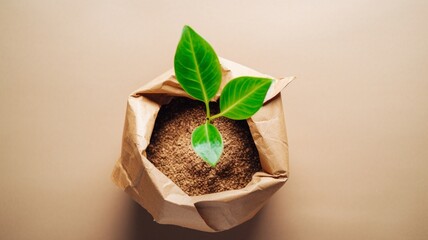 Eco zero waste plastic free and saving energy Generative AI