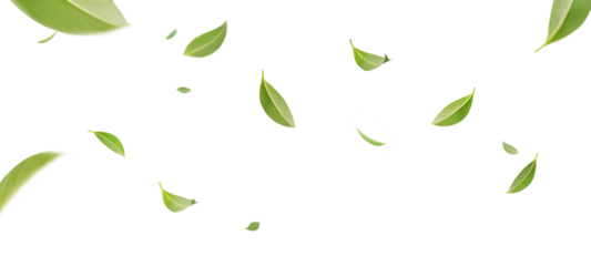 Flying whirl green tea leaves in the air with transparent background png, Healthy products by organic natural ingredients concept