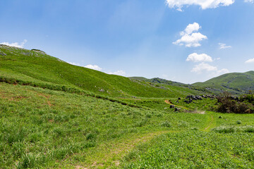Fototapeta premium 北九州国定公園平尾台 福岡県北九州市
