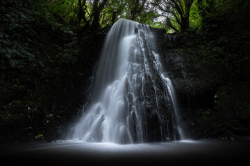 Fototapeta premium New Zealand scenic waterfall landscape 