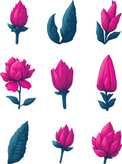 Fuchsia Flower Set, Watercolor Flower Vector Design Set