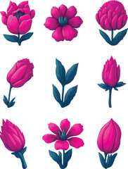 Fuchsia Flower Set, Watercolor Flower Vector Design Set