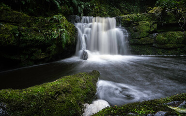 Waterfall in New Zealand forest 
