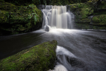 Waterfall in New Zealand forest 