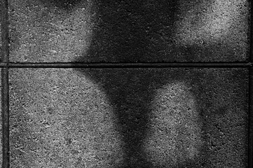 Fototapeta premium 濡れたブロックの壁