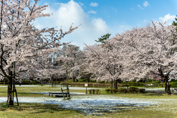 山形　霞城公園