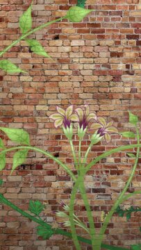 Growing plants and vines mural on brick wall. Pack of 3. Two have copy space. Vertical video.