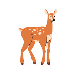 Cute baby deer. Adorable fawn, young wild forest animal cub with spots. Little bambi eating leaf food. Woodland mammal. Flat vector illustration isolated on white background