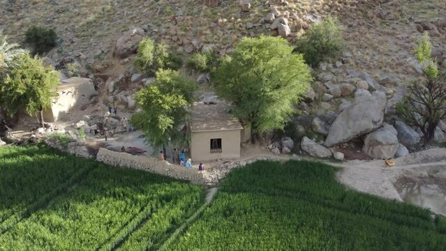Aerial View Of Green Agricultural Farming Fields In Khuzdar. Ascending Dolly Back Shot