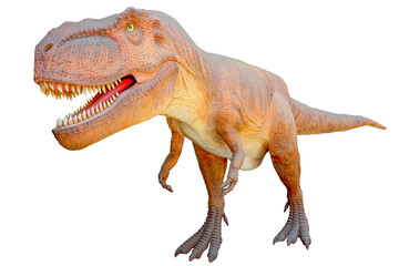 Tyrannosaurus T-rex, dinosaur on white background with Clipping path. 