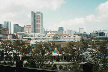 Beautiful view of buildings in downtown Singapore among trees