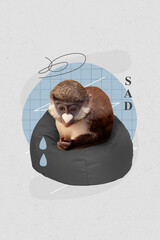 Poster collage sketch weird image of exotic stressed wild animal sitting pouf crying melancholy...
