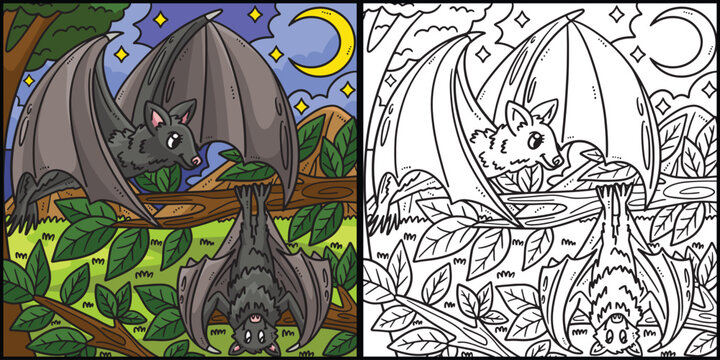 Mother Bat and Baby Bat Coloring Page Illustration