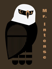 Hawk-eagle Mr. Intense bronze background
