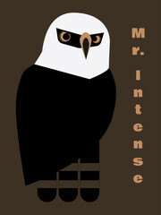 Hawk-eagle Mr. Intense Illustration