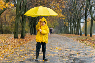 Smiling little boy in park with a yellow umbrella. Child on rainy street with falling leaves