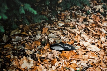 Lost shoe in autumn leaves in the forest.
