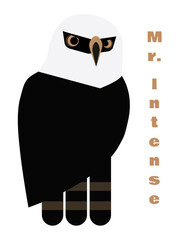 Hawk-eagle Mr. Intense -simple- no background