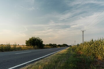 Fototapeta premium Long highway between fields in the evening