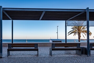 Empty beach with palm trees and wooden benches at sunset