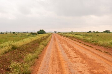 Fototapeta na wymiar An empty dirt road against sky in Nairobi National Park, Kenya