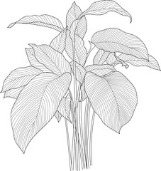 Leaves isolated on white collection. Tropical leaves hand drawn abstract illustration.