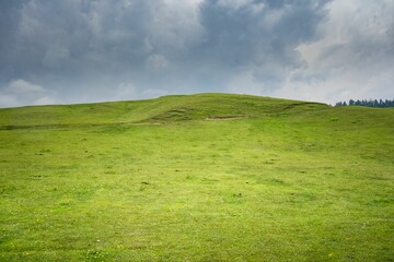Obraz premium Green field with cloudy sky on the background
