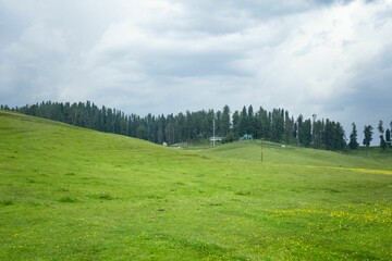 Fototapeta na wymiar Green field with cloudy sky on the background