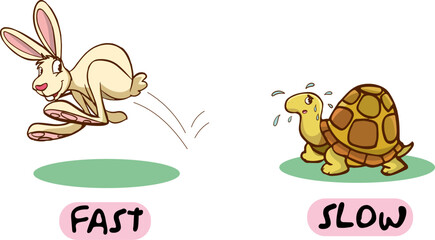 Opposite words for fast and slow cartoon vector © serkan