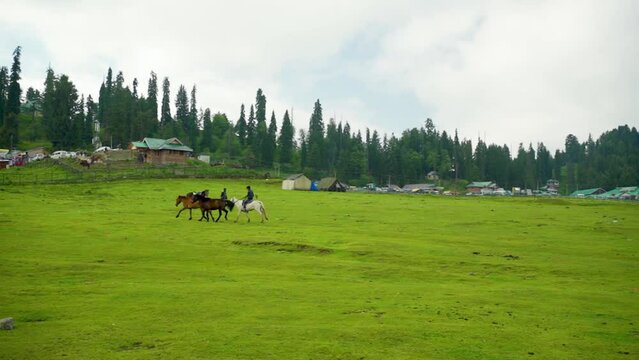 Slow motion of people riding horses on Gulmarg meadow, India