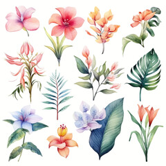 Set of tropical floral watecolor. tropical flower, tropical leaves. tropical poster, invitation floral. Vector arrangements for greeting card or invitation design