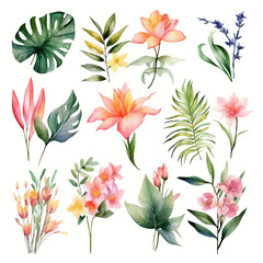 Set of tropical floral watecolor. tropical flower, tropical leaves. tropical poster, invitation floral. Vector arrangements for greeting card or invitation design