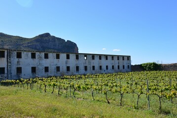 Beautiful view of an old hospital and vineyard in El Verger