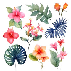 Set of tropical floral watecolor. tropical flower, tropical leaves. tropical poster, invitation floral. Vector arrangements for greeting card or invitation design