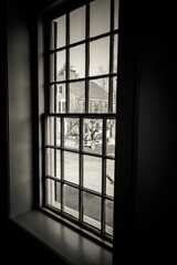 Grayscale vertical shot of a window