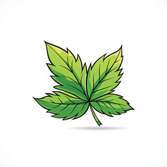 Leaf Vector Leaf Logo design