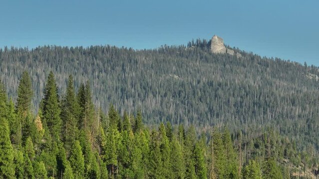 Beautiful view of Sequoia Kings Canyon National Park in California